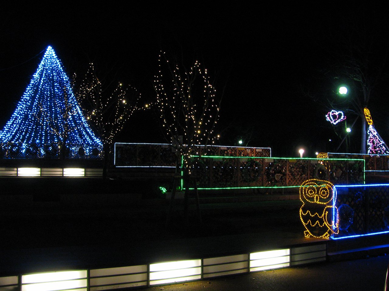 funny tsukuba park.JPG